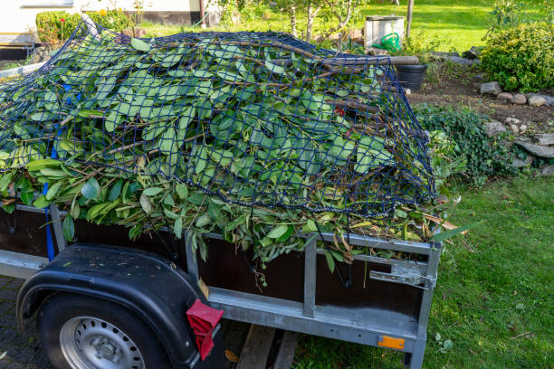 Best Moving and Downsizing Cleanouts  in Grinnell, IA